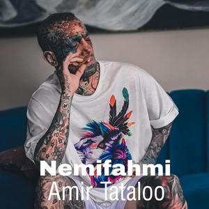 Nemifahmi (Amir Tataloo)
