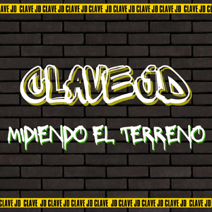 Midiendo El Terreno
