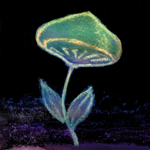 Последний шанс