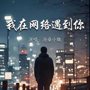 我在网络遇到你