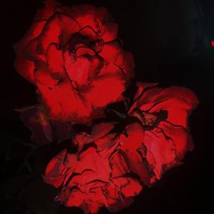 我希望我们在一起（feat.Liucx）（prod.xiangyue，MAEMOR BETAZ)