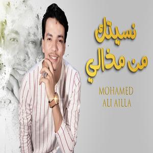 NSAITEK MN MATHALI