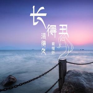 我愿意平凡的陪在你身旁（Remix）