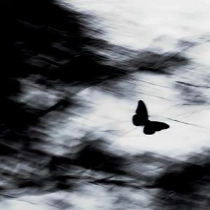 一对视我的心漏拍后失控