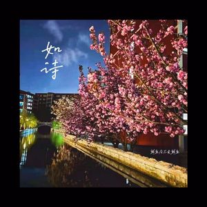如诗