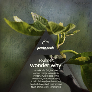 Touch of Change (Nic Lerner remix)