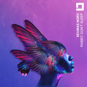 Rabbit Don't Sleep (Extended Mix)