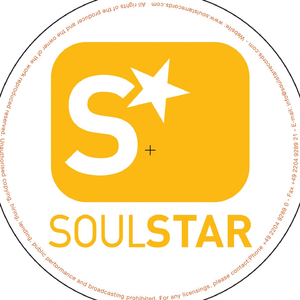 Bringing It Down (Harley & Muscle Deep Mix)