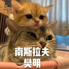 精品24k纯嗨曲