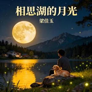 相思湖的月光