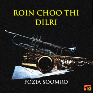 Budhai Bewafa Tunhanji