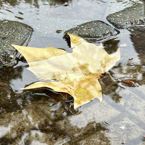 《雨境》