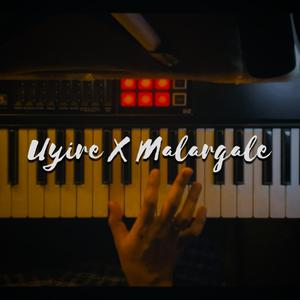 Uyire X Malargale (Instrumental)
