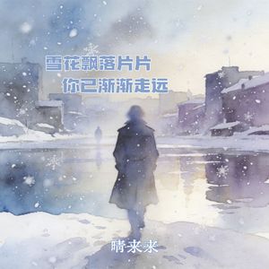 雪花飘落片片你已渐渐走远