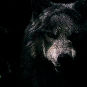 Sobelo (Original Mix)