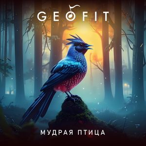 Мудрая Птица