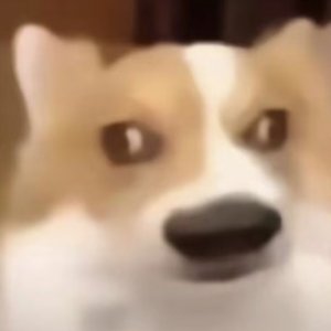 自从得了精神病后，整个人都精神多了