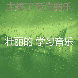 柔和的专注时刻