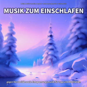 Musik zum Einschlafen, Pt. 29