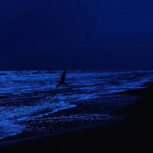 抉择不定（Ba1ZhiZz3 Remix）