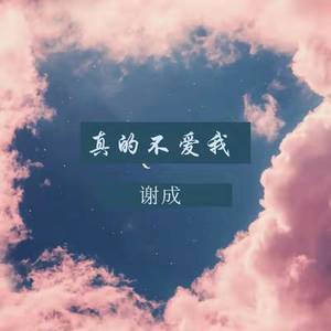 真的不爱我