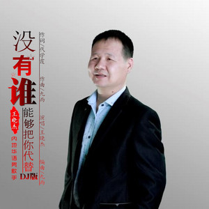 没有谁能够把你代替 (DJ版)