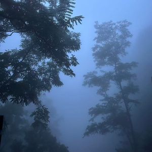 晚班车与未读消息