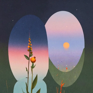 一花一宇宙