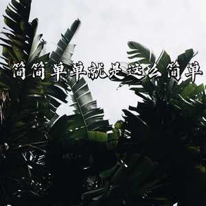 简简单单就是这么简单