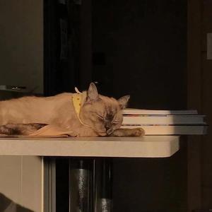你是我的唯一
