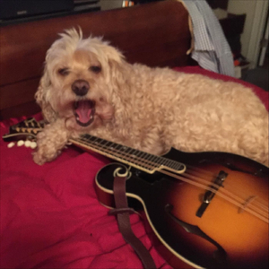 There Goes Tokyo (Live)