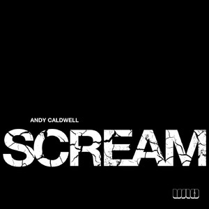 Scream (Andy Caldwell and the EC Twins Remix)