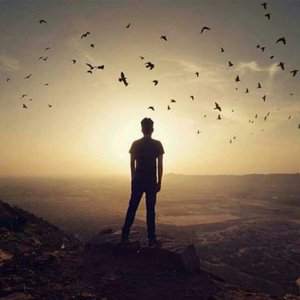 难怪春迟迟不肯来