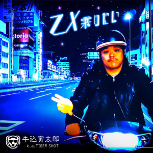 ZX乗りたい