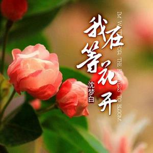 我在等花开