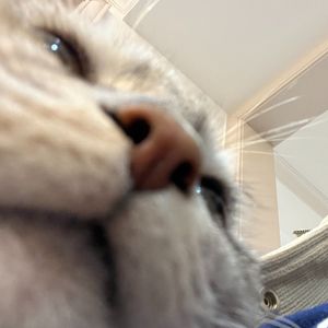 快睡吧！别醒醒