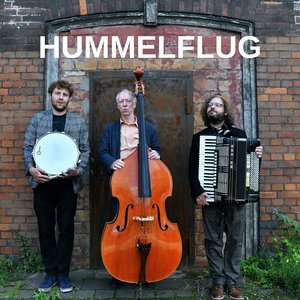 Hummelflug