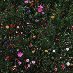 【免费】小花 - 流行 说唱 走心故事 抖音热歌风格伴奏 | 可商用