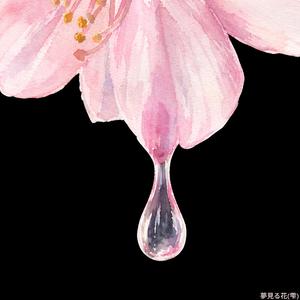 夢見る花(雫)