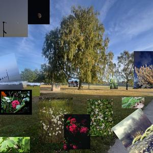 hebi no ugoki 蛇の動き