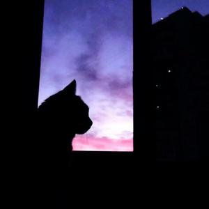 暗恋（Cover xxxmiracle）