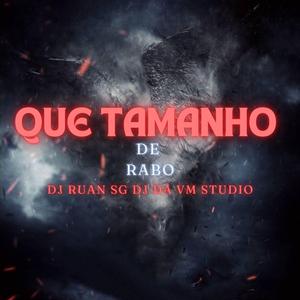 Que tamanho de rabo (feat. DJ DA VM STUDIO & MC FABINHO OSK)