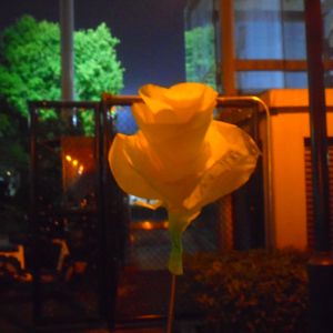 圣诞前夕温暖情歌（Before the Bells）