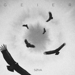 Geier