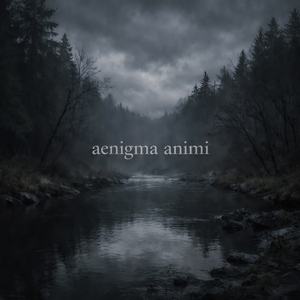 Aenigma animi