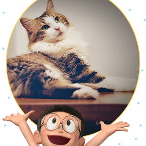 Chloe小猫小猫怎样叫2018.12.13