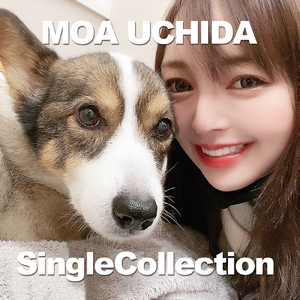 ハロー、グッバイ