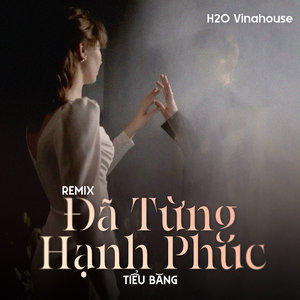 Đã Từng Hạnh Phúc (Remix)