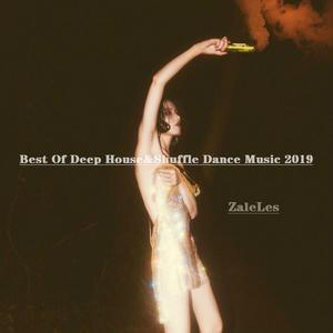 Max Oazo-Best Of Deep House Music 2019 Bootleg（ZaleLes remix）