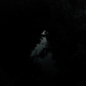 Shadow Wood